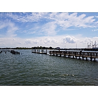 August king tide Hampton image